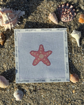 Pink Starfish